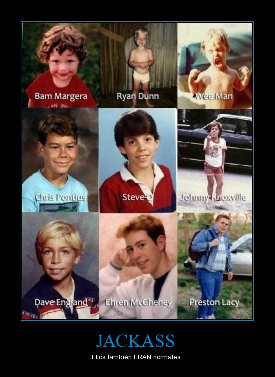 jackass Meme by Brychu ) Memedroid