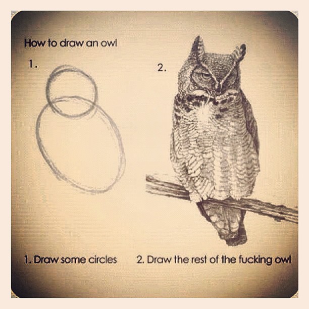 how to draw an owl Meme by Taytym ) Memedroid