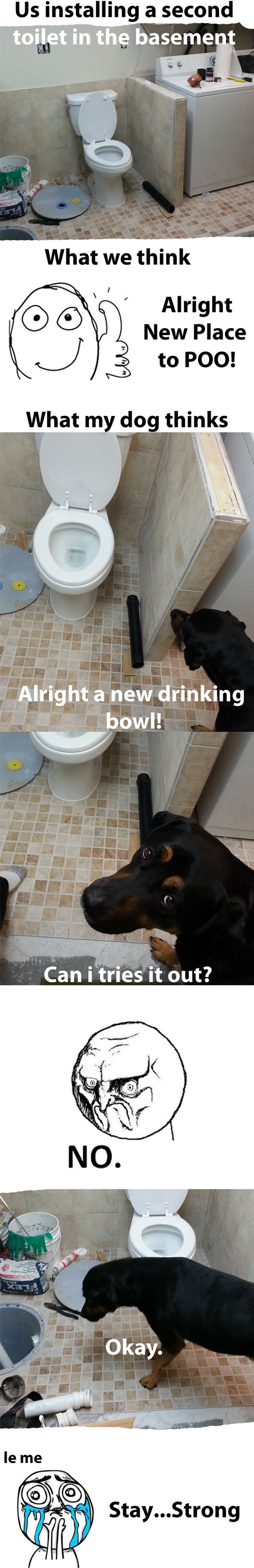 Throw your hands in the air! like you just dont care!... Now stay the