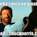 Chuck noris