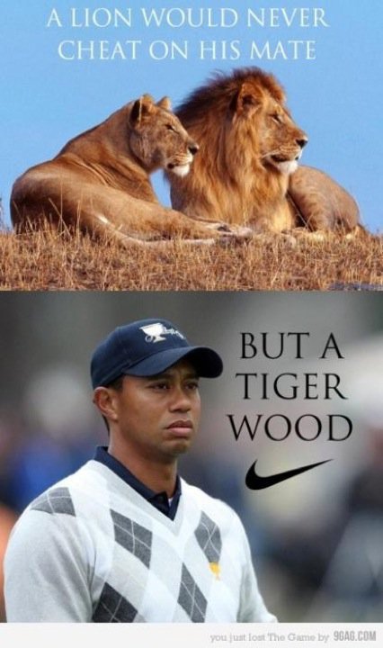 tiger wood - meme