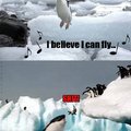 penguins love you