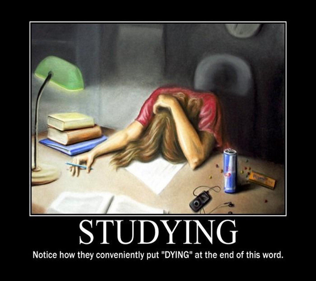 the truth about studying - meme