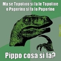 pippe