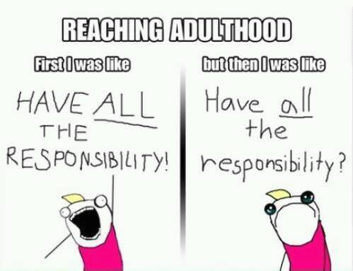 all the responsibility!! - meme