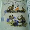 neanderthalica