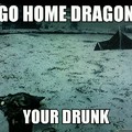 skyrim dragons..