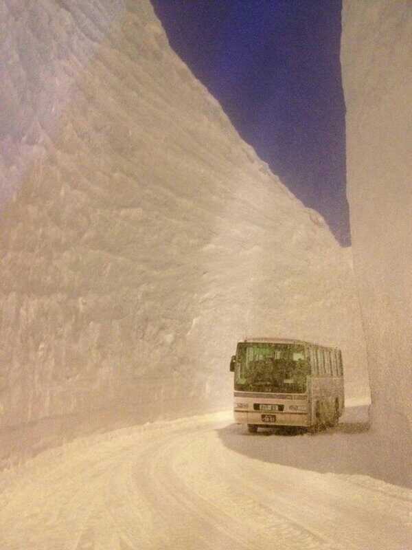 17 metres snow in Japan...! - meme