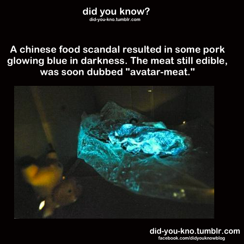 Not sure if I want to never eat Chinese food again or eat more? - meme