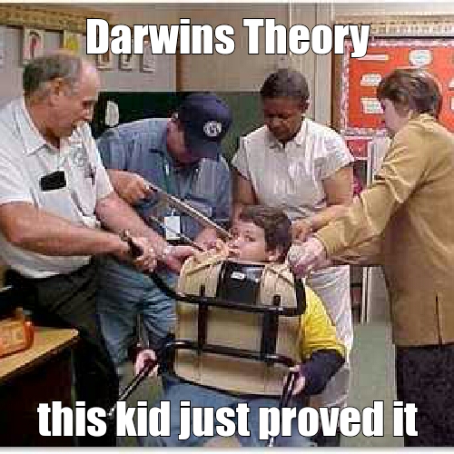 darwin - meme