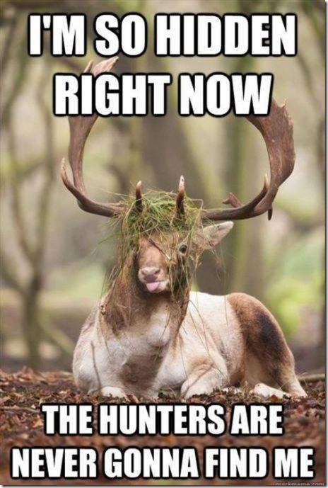 oh silly deer! - meme