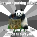 parking tickets