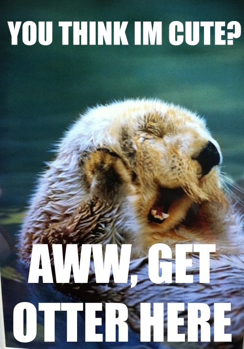 get otter here - meme