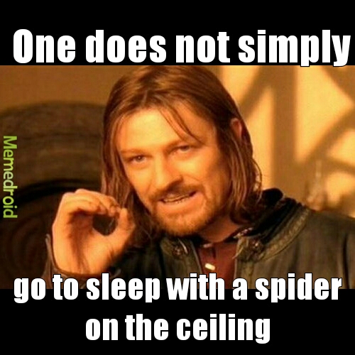 Creepy A Spiders Meme By Cooper Pourciau1 Memedroid