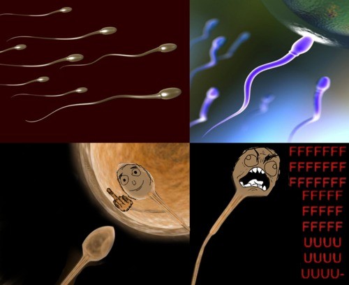 sperm troll - meme