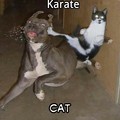 karatecat