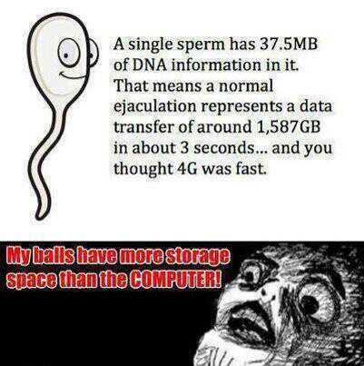 sperm wifi? - meme