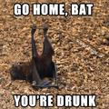 go home bat, you're drunk...