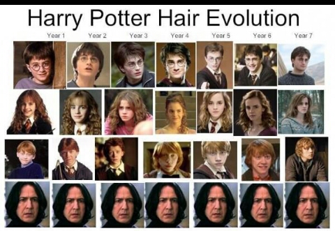 L'évolution dans Harry Potter .. - meme