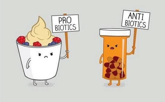 pro bioticos... anti bioticos - meme