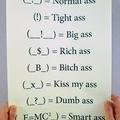 Types of asses