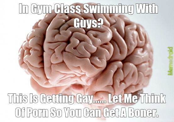 Brain Boner - meme