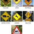 Signs from the world