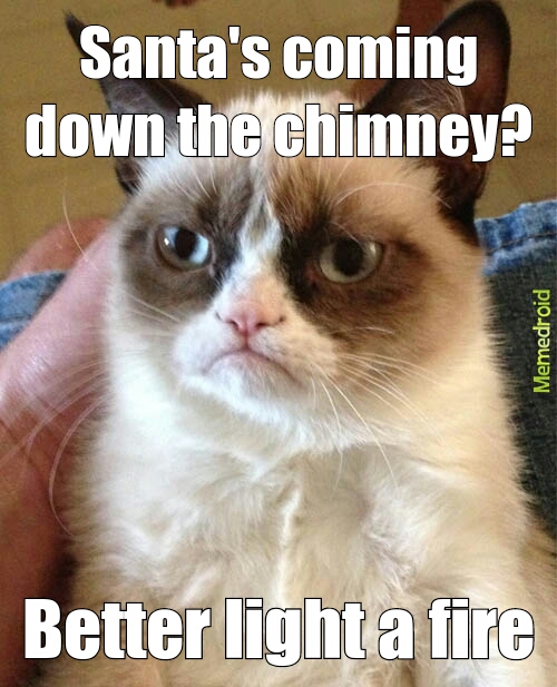 grumpy cat is grumpy - meme