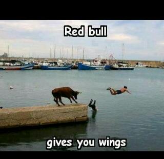 Red Bull te da alas - meme