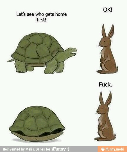 turtle wins - meme