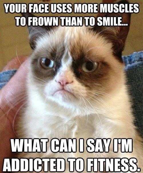 grumpy cat <3 - meme