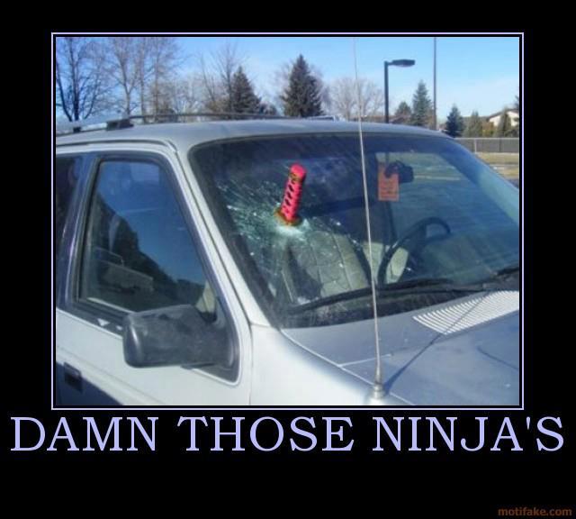 those damn ninja's - meme
