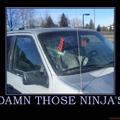those damn ninja's