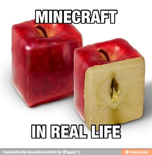 Minecraft real life - meme