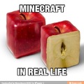 Minecraft real life