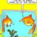 Funny farting goldfish