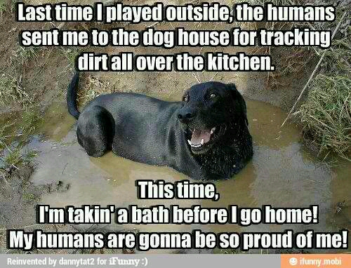 such a good dog - meme