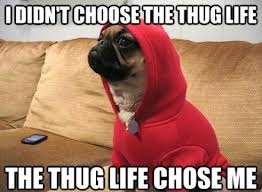 Thug Life  - meme