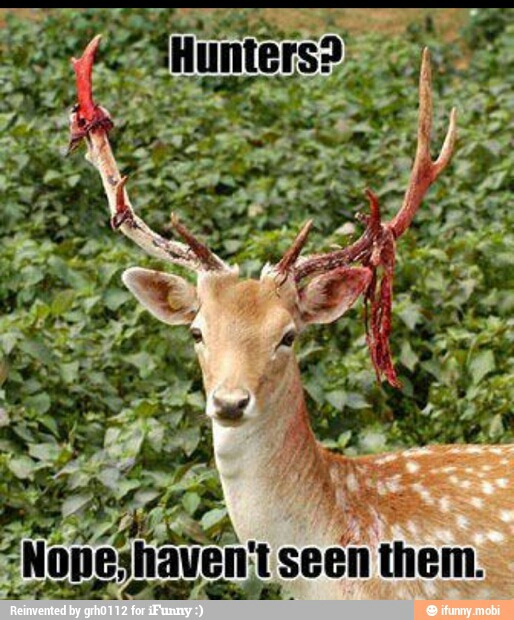 hunter - meme