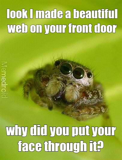 spider bro - meme