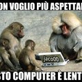Scimpanzee al computer