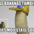 gorras para bananas...