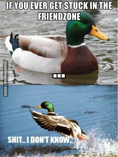 You know You're F***ed if Advise Mallard doesn't know - meme
