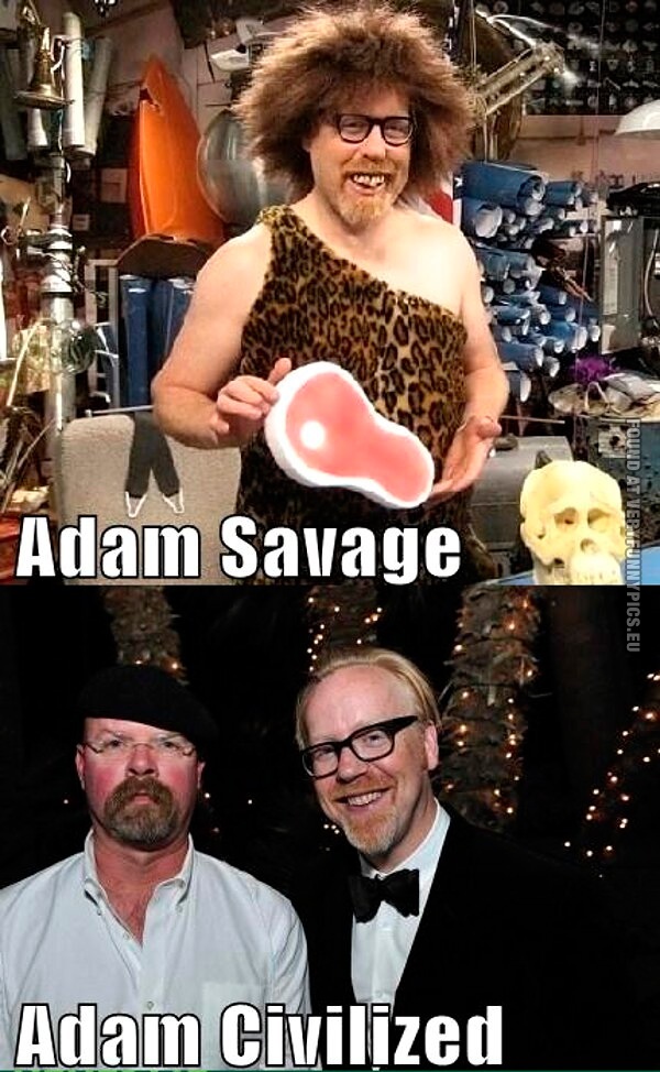 I love adam savage - meme