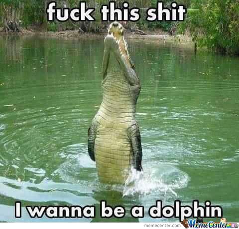 dolphin gator - meme
