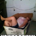 Drunk in a box. That's a wonderful life right there -.-