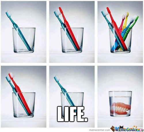 Life showed by toothbrushes - meme