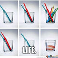 Life showed by toothbrushes