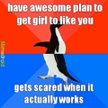 gets awesome plan