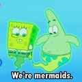 we're meremaids